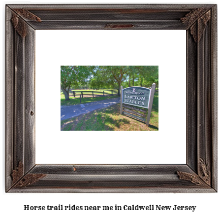 horse trail rides near me in Caldwell, New Jersey